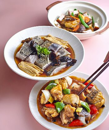 Giant Grouper Indulgence