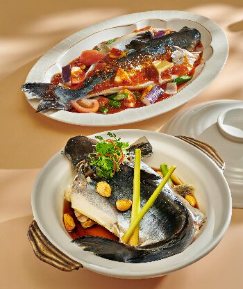 River Treasure Patin Fish