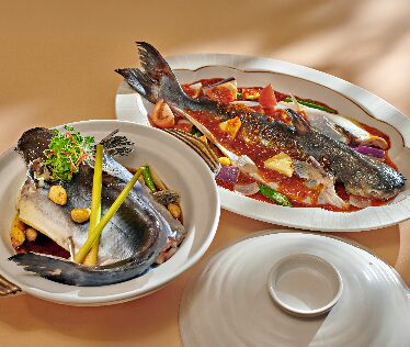 River Treasure Patin Fish