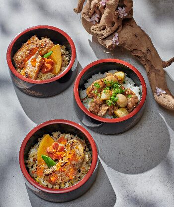 Donburi Teishoku Set